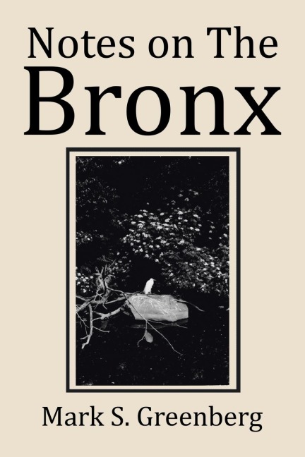 Notes on The Bronx