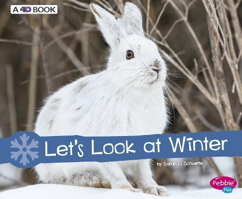 Lets Look at Winter: A 4D Book