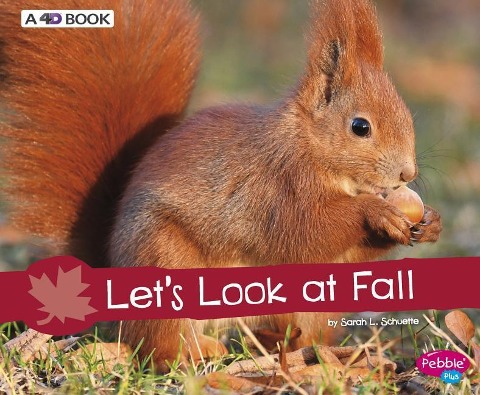 Lets Look at Fall: A 4D Book