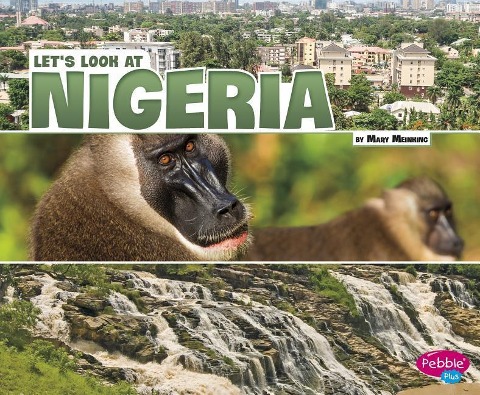 Lets Look at Nigeria