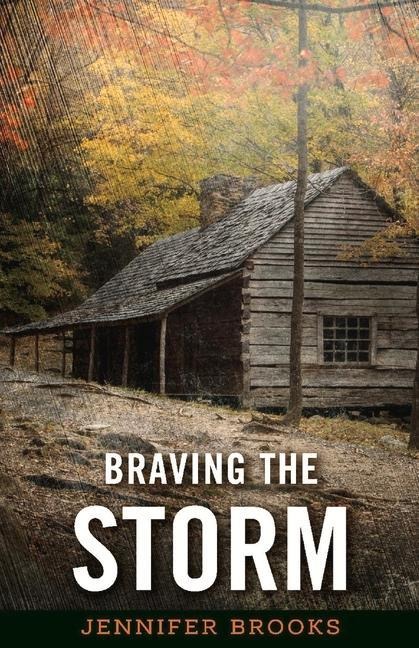 Braving the Storm: Volume 1