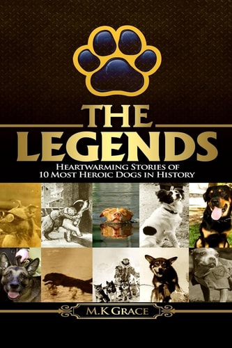 The Legends Heartwarming Stories of 10 Most Heroic Dogs in History