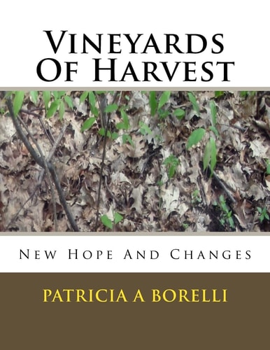 Vineyards Of Harvest New Hope And Changes