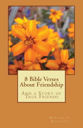 8 Bible Verses About Friendship And a Story of True Friends