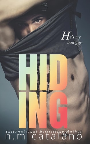 Hiding Stranger Book 5 Stand-Alone, a Romantic Suspense