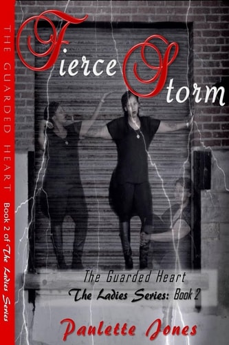 Fierce Storms The Ladies Series Book 2
