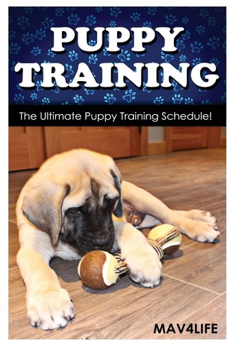 Puppy Training The Ultimate Puppy Training Schedule!