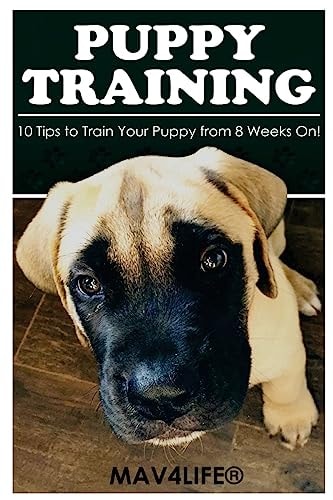 Puppy Training 10 Tips to Train Your Puppy from 8 Weeks On!