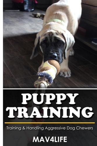 Puppy Training Training and Handling Aggressive Dog Chewers