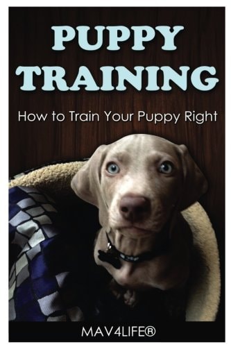 Puppy Training How to Train Your Puppy Right!
