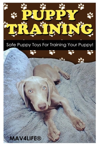 Puppy Training Safe Puppy Toys For Training Your Puppy!