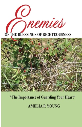 Enemies of the Blessings of Righteousness The Importance of Guarding Your Heart