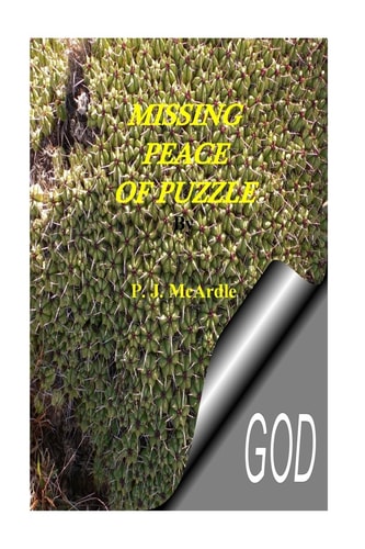 Missing Peace of Puzzle