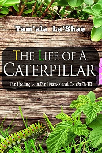 The Life Of A Caterpillar The Healing Is In the Process and It's Worth It!