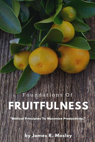 Foundations of Fruitfulness Biblical Principles to Maximize Productivity.