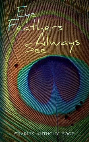 Eye Feathers Always See