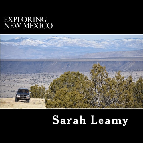 Exploring New Mexico