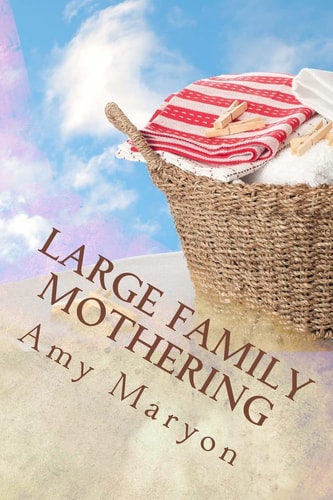Large Family Mothering Building Your Home One Piece at a Time