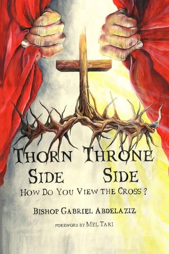 Thorn Side Or Throne Side How Are You Viewing The Cross?