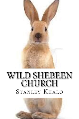 Wild Shebeen Church