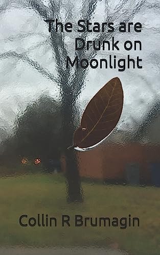 The Stars Are Drunk on Moonlight