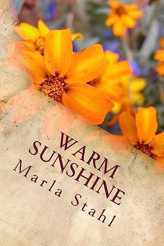 Warm Sunshine Warming Your Soul with Inspiration and Positivity