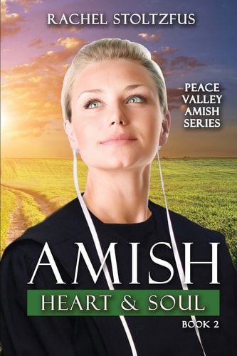 Amish Heart and Soul