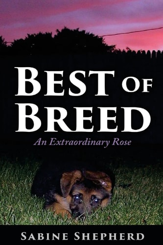 Best of Breed An Extraordinary Rose