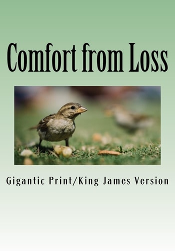 Comfort from Loss Giant Print Edition