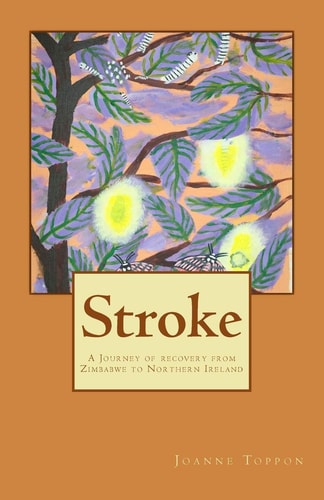 Stroke A Journey of Recovery from Zimbabwe to Northern Ireland