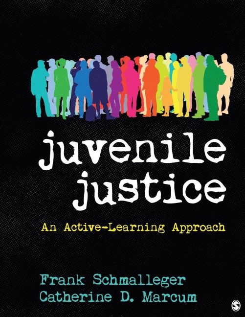 Juvenile Justice: An Active-Learning Approach