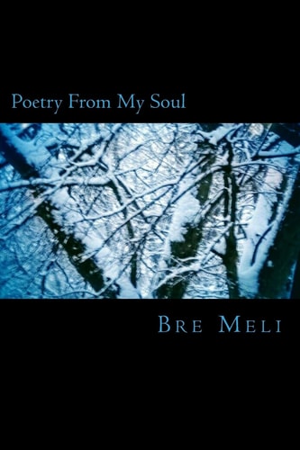 Poetry From My Soul
