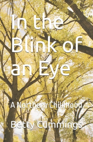 In the Blink of an Eye A Northern Childhood