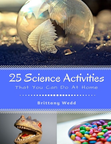 25 Science Activities That You Can Do At Home