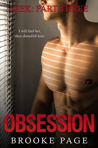 Seek Part Three of the Obsession Series: The Obsession Series