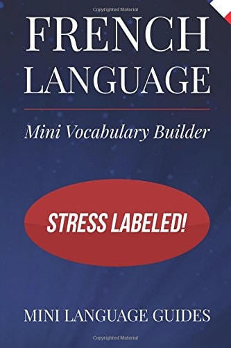 French Language Mini Vocabulary Builder Stress Labeled!