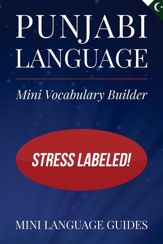 Punjabi Language Mini Vocabulary Builder Stress Labeled!