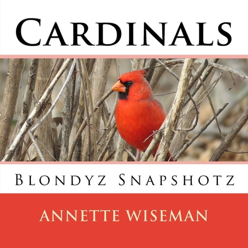 Cardinals Blondyz Snapshotz