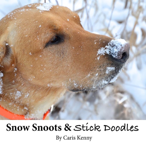 Snow Snoots and Stick Doodles