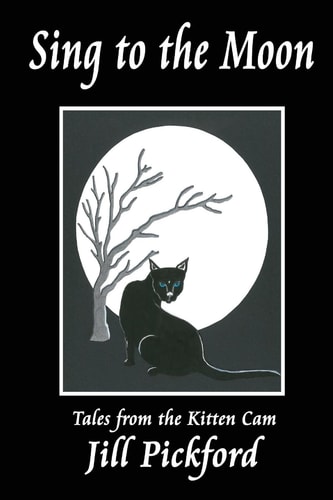 Sing to the Moon Tales from the Kitten Cam