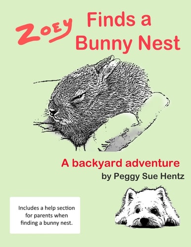 Zoey Finds a Bunny Nest A Backyard Adventure