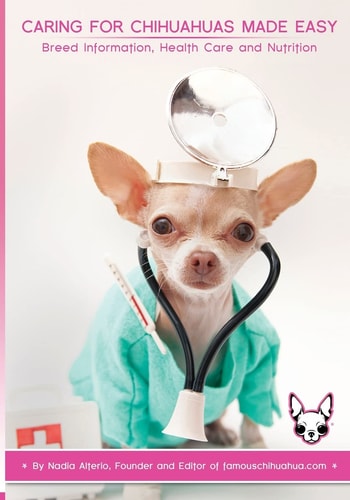 Caring for Chihuahuas Made Easy Breed Information, Health Care and Nutrition