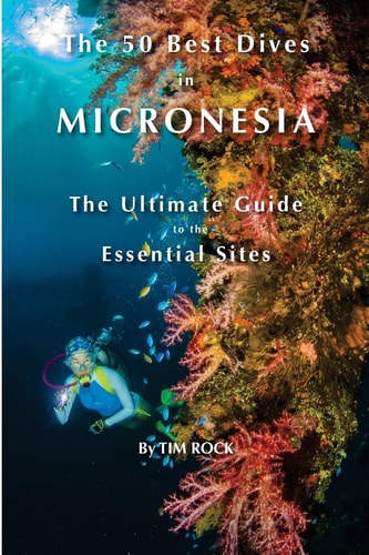 The 50 Best Dives in Micronesia The Ultimate Guide to the Essential Sites