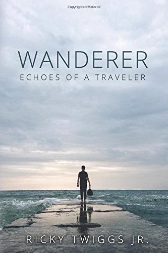 Wanderer Echoes of a Traveler