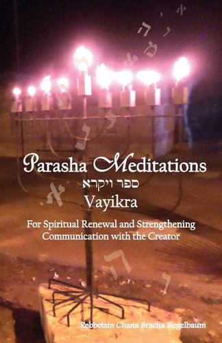 Parsha Meditations: Vayikra - Online with Hashem For Spiritual Renewal and Strengthening Communication with the Creator