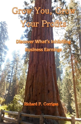 Grow You, Grow Your Profits Discover What's Inhibiting Business Earnings