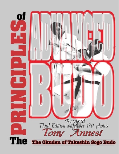 The Principles of Advanced Budo The Okuden of Takeshin Sogo Budo