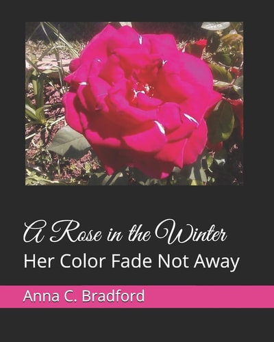 A Rose in the Winter Her Color Fade Not Away