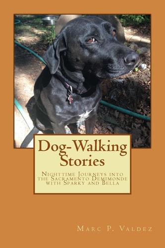 Dog-Walking Stories Nighttime Journeys Into the Sacramento Demimonde with Sparky and Bella
