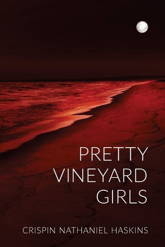 Pretty Vineyard Girls A Martha's Vineyard Mystery